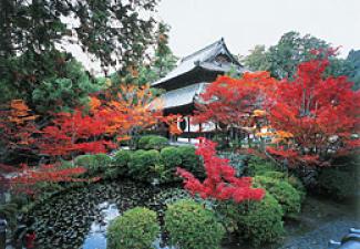 「総社市宝福寺紅葉」の画像検索結果