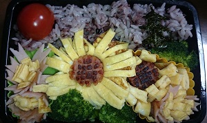sunflower&cosmos