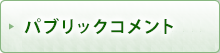 パブリックコメント