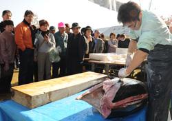 マグロの解体