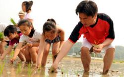 田植えをする市長