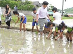 田植え