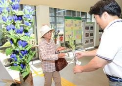 リンドウを渡す