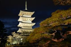 幻想的な五重塔