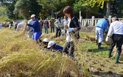 新本の本庄国司神社の神田