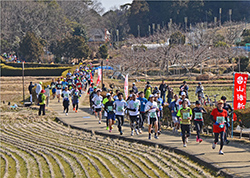 田園を走る