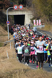 吉備路せましと健脚競うランナー集団