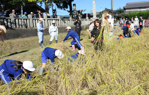 稲を刈る相川さんと児童