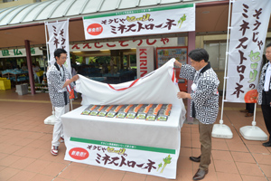 販売開始