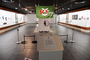 展示の様子