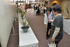 展示