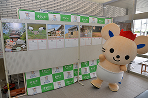 販売開始