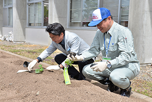 市長植え付け