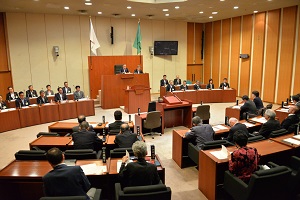 臨時市議会