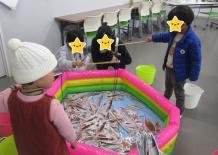 魚釣りで海の生き物を知ろう！