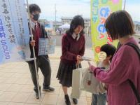 活動写真１