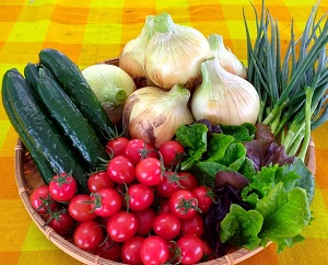 収穫した野菜
