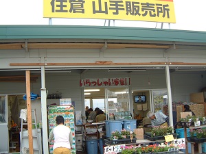山手販売