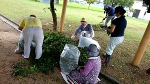 都市公園の清掃