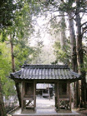 草田八幡宮の社叢