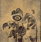特選－中野俊子