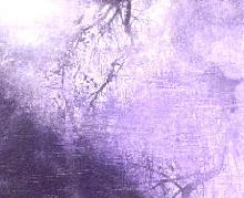 審査員特別賞『 井泉 』