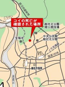 コイの死亡が確認された場所の地図