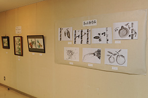 展示