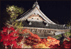 宝福寺ライトアップ
