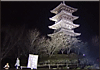 2014国分寺ライトアップ