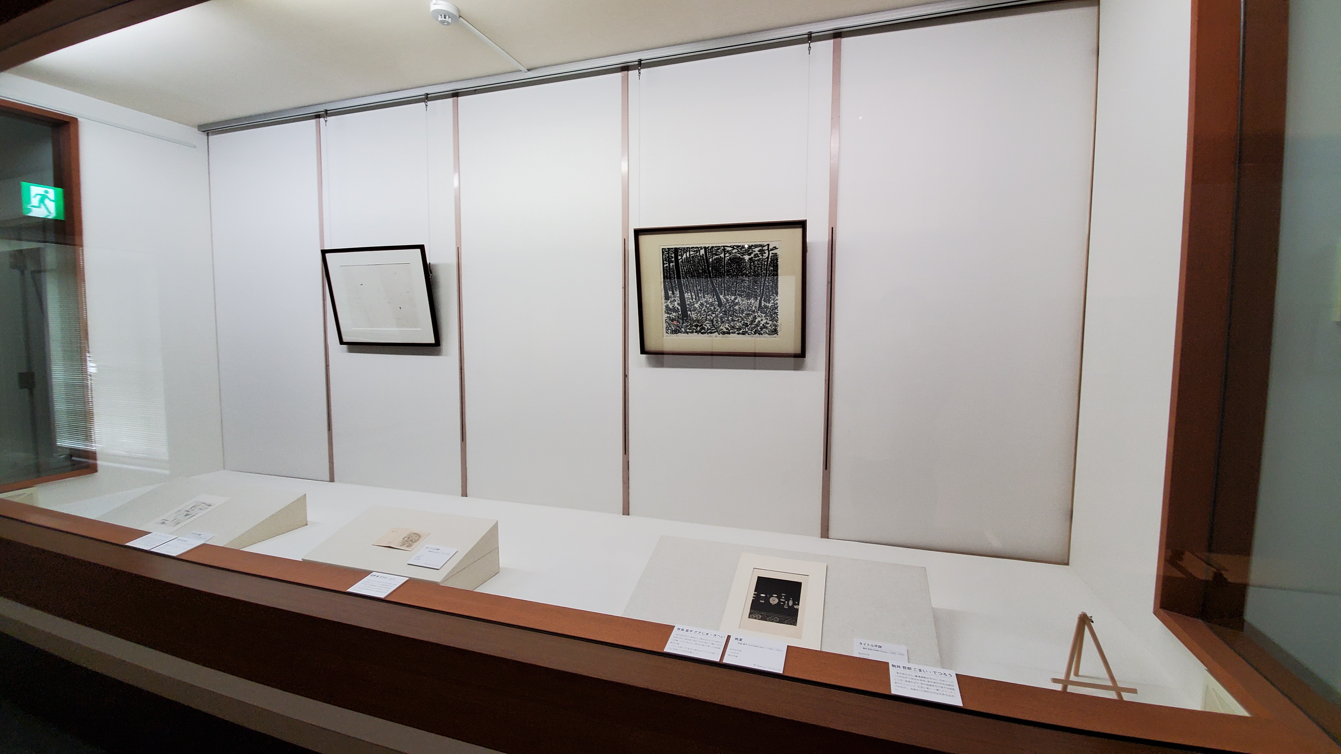 展示の様子②