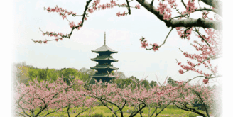 備中国分寺の外観