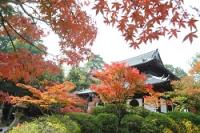 宝福寺