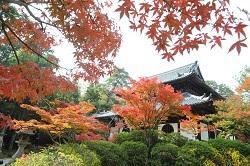 宝福寺