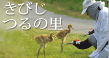きびじつるの里
