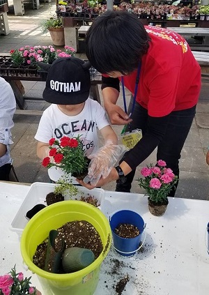 寄せ植え体験
