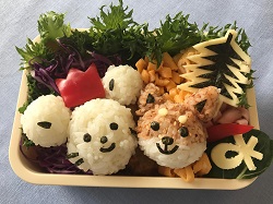 れんげ畑とひまわり畑で遊ぶちゅっぴーと犬