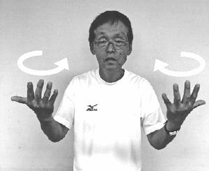 ない