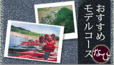 Model course