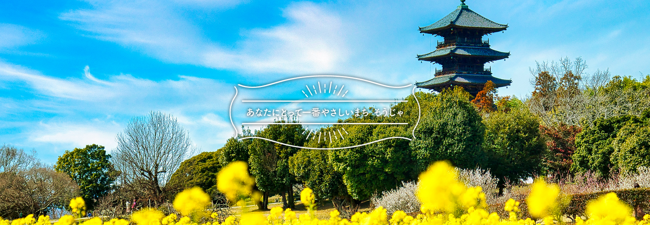 トップメインビジュアル_01