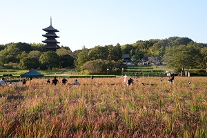 赤米フェスタ2020リモートの画像2