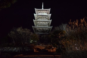 ライトアップの画像2