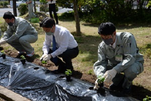 14日　緑のゴーヤカーテンで市役所を涼しくの画像