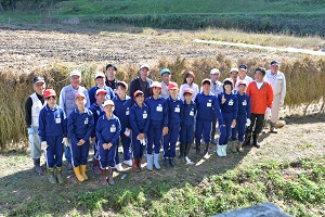 7日　赤米の稲刈りへの画像2
