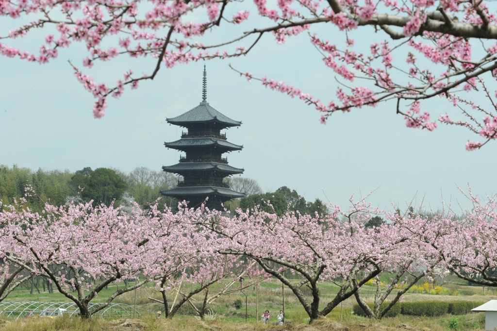 吉備路のロケーションのシンボル「備中国分寺」の画像