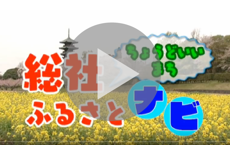 ちょうどいいまち総社ふるさとナビ(移住定住促進)の画像