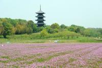 認定事業の画像3