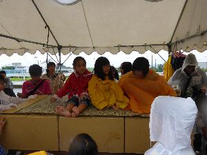 作製したダンボールベットを使ってみるの画像