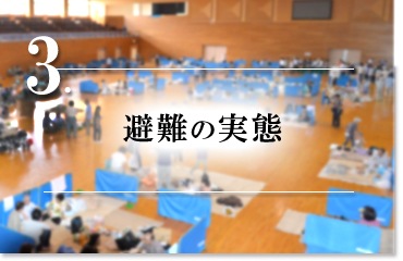 3.避難の実態の画像