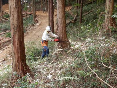 令和5年 新庁舎建設工事の進捗状況についての画像25